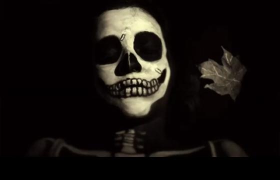 Stop Motion: Rot by Erica Luke