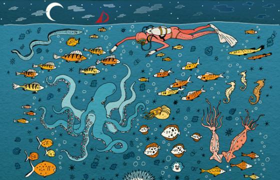 The Work of Vikki Chu