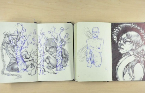 Video: Moleskine Sketchbooks '09-'13 by Lauren YS