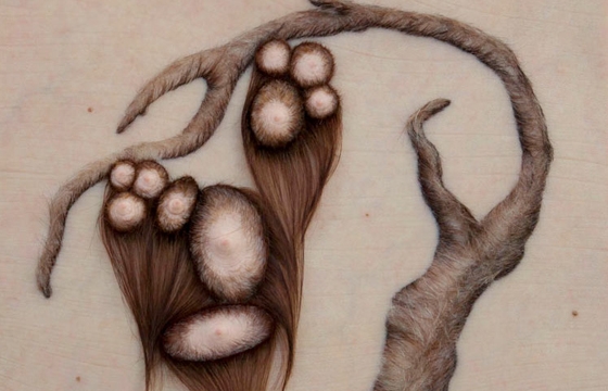 Bizarre Hair & Skin Art by Patricia Piccinini