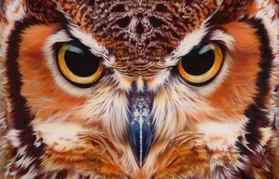 Airbrushed Animals by Eyan Higgins Jones