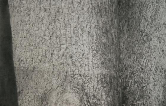 Treeforms