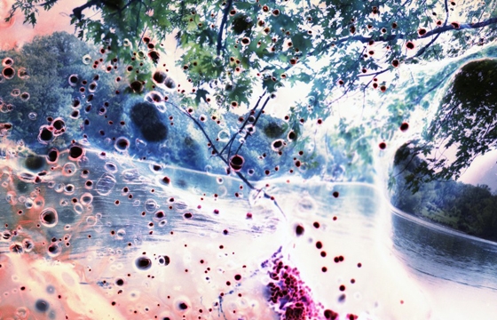 The Effects of Oil: The Photography of Peter Hoffman