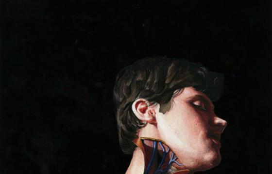 Self-Dissections by Danny Quirk