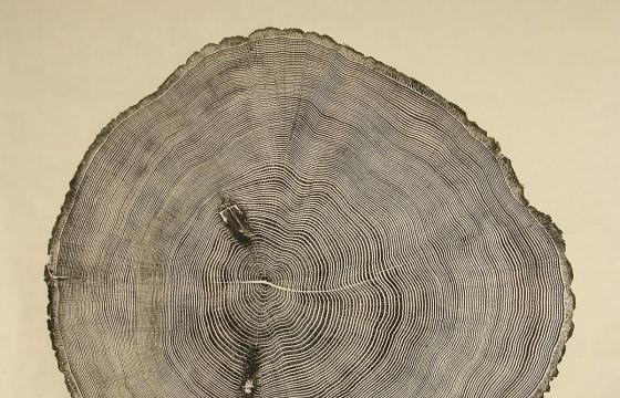 Woodcut Imprints by Bryan Nash Gill