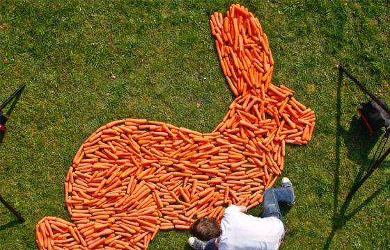 Magpie Studio's Rabbit