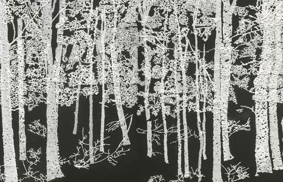 Vibe Israel: Tal Amitai-Lavi, Chelouche Gallery