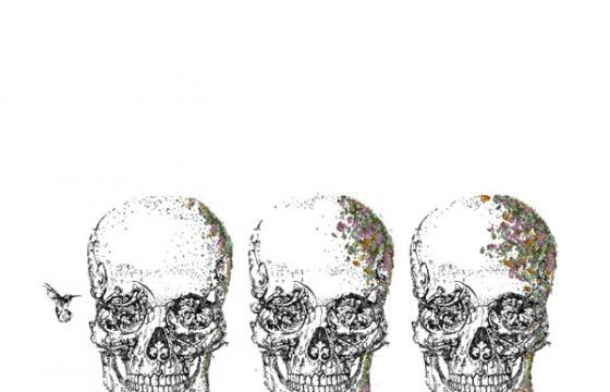 Erin Smith's Typographical Images