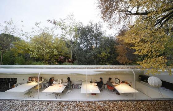 Working Under the Trees at SelgasCano Arquitectos