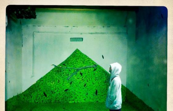 Tellas for Nuart 2011 Video