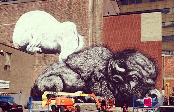 Roa in Progress at Montreal's Mural Festival