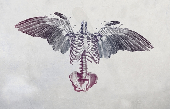 Illustrations by Mizenscen