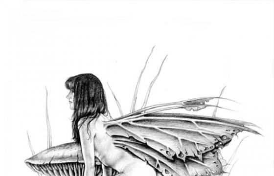 Teresa Murphy Erotic Art