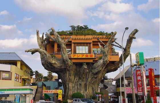 Tree House Restaurant