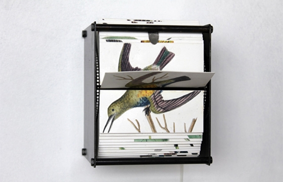 Juan Fontanive's Flipbook Machines