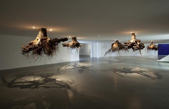 Roots From Above: "Humus" by Giuseppe Licari