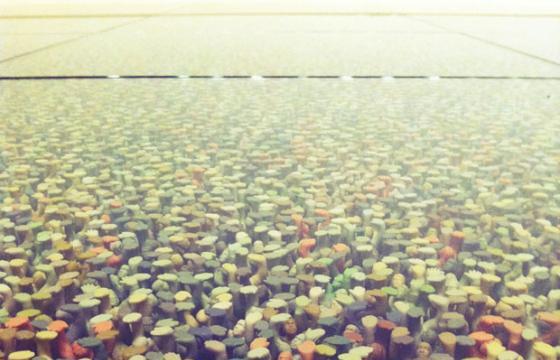 Floor Installation by Do Ho Suh