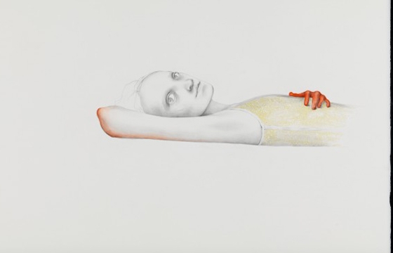Margherita Manzelli "The Butterfly House" @ greengrassi, London