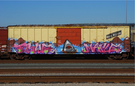 True x Maple