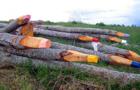 Environmental Art: Colored Pencils in the Forest