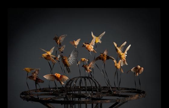 Polly Morgan @ Workshop Venice