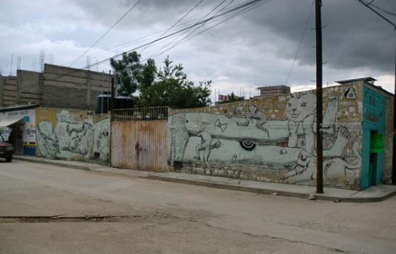 Liquen in Oaxaca 