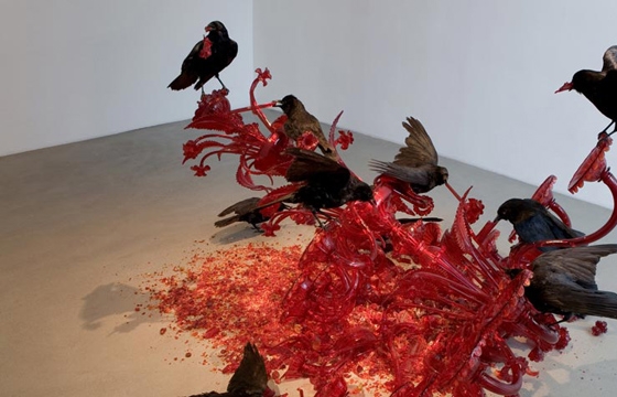 The Work of Javier Pérez