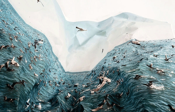Laura Plageman’s Manipulated Landscapes