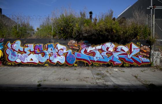 Cesar x Steel