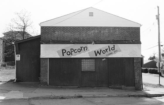 The Photography of Will Rogen