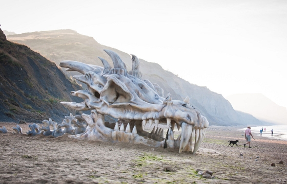 Dragon Skull Appears on Beach on England's Jurassic Coast (video)