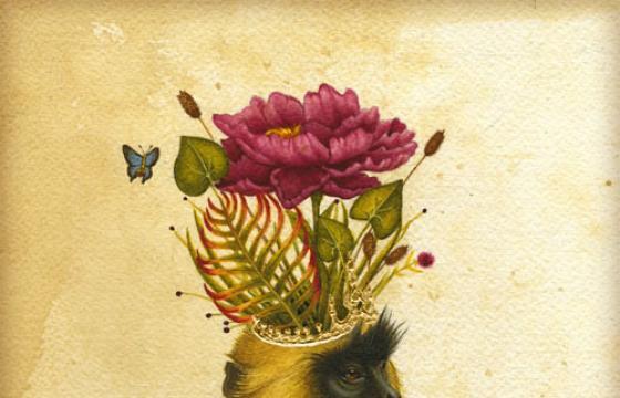 In Illustration: Lindsey Carr's Natural Environment