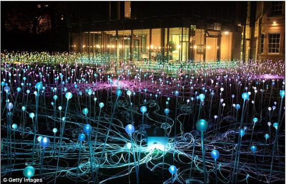 A field of 5,000 Christmas lights by Bruce Munro