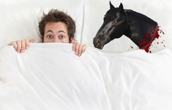 The Horse Head Pillow Case