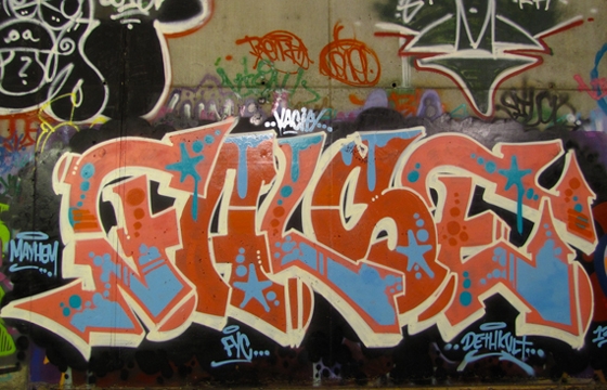 False x Shank x Vizie