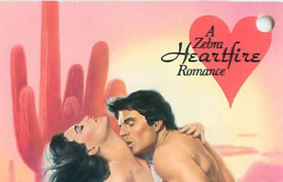 Romance Novel Fantasies...