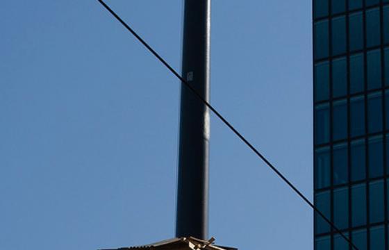 The Urban Tree House