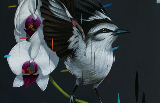 The Paintings of Frank Gonzales