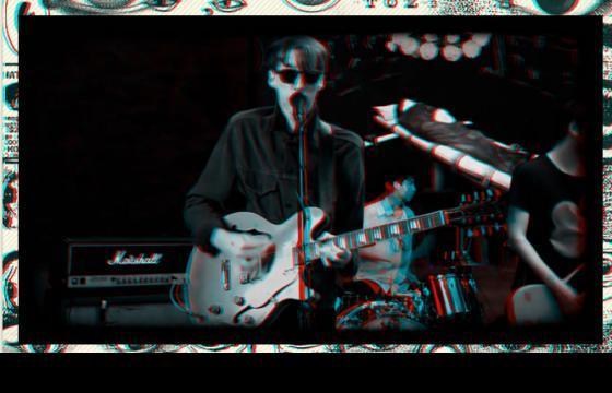 Deerhunter in 3D Video