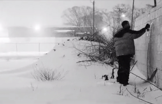 Video: Elmer bombing in Detroit