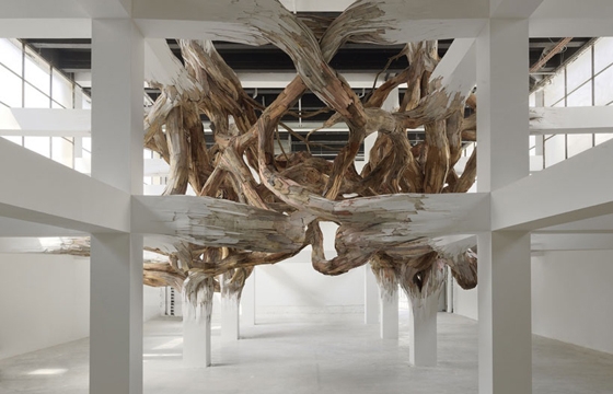 Update: The Work of Henrique Oliveira