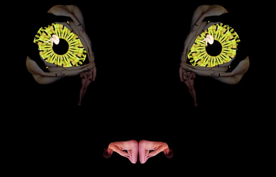 Cecelia Webber's Body Art
