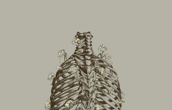 Illustrations by Lara Mendes