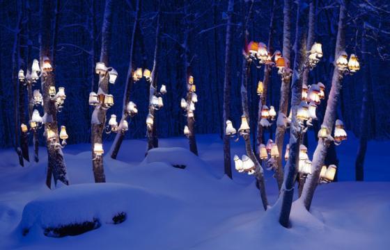 Environmental Installations by Rune Guneriussen
