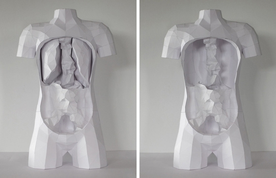 Build Your Own Geometric Torso