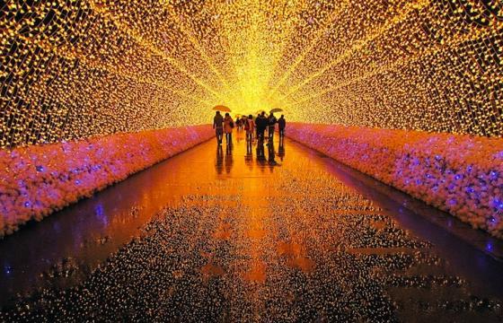 Winter Illuminations: Light Festival in Japan