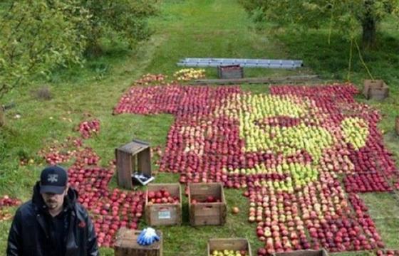 3750 Apples, One Portrait of Steve Jobs