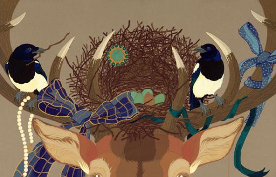 The Work of Amy Timms
