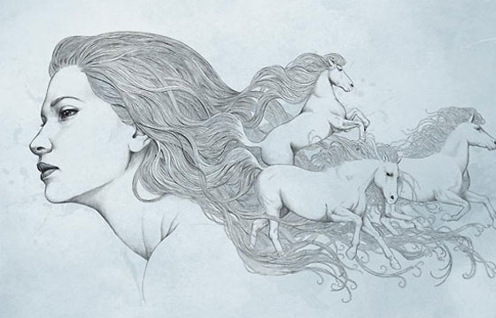 Diego Fernandez's Wild Horses