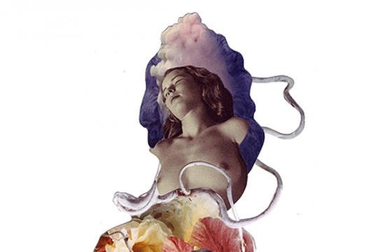 In Erotica: Ashkan Honarvar